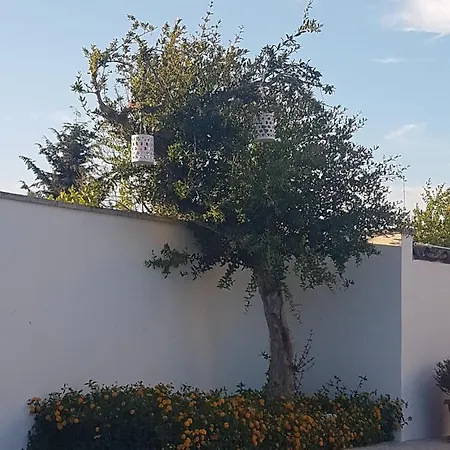 Casa Augusto