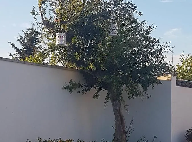 Casa Augusto