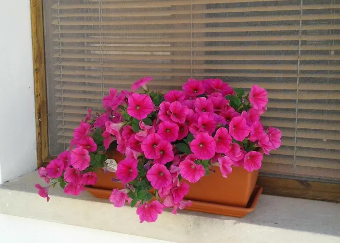 Casa Augusto Vakantiehuis Uggiano La Chiesa