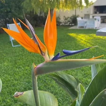 Casa Augusto Vakantiehuis *