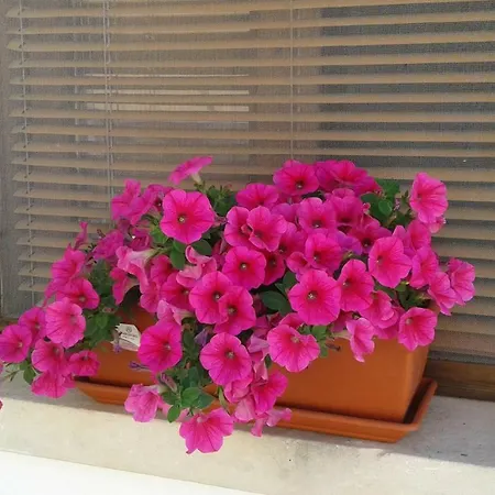 Casa Augusto Vakantiehuis Uggiano La Chiesa